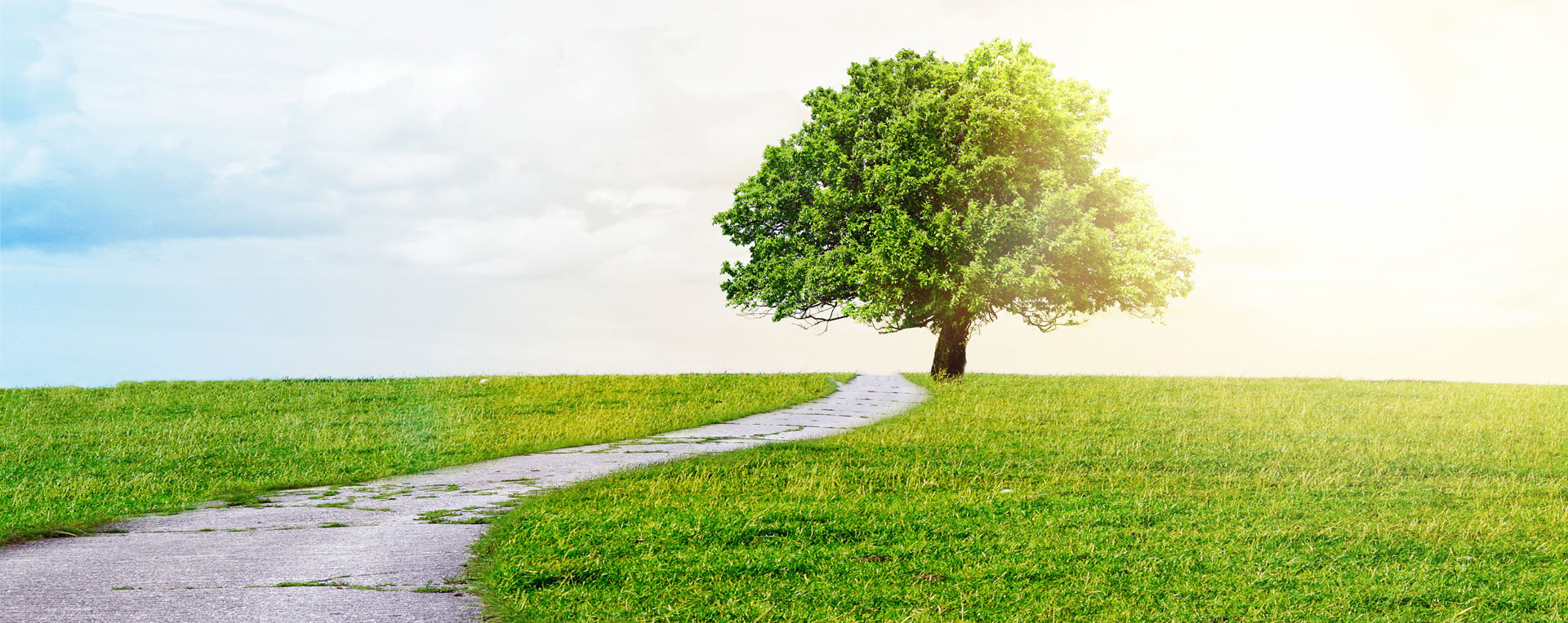 Psychotherapie, Taymaz Taghipour, Bonn 